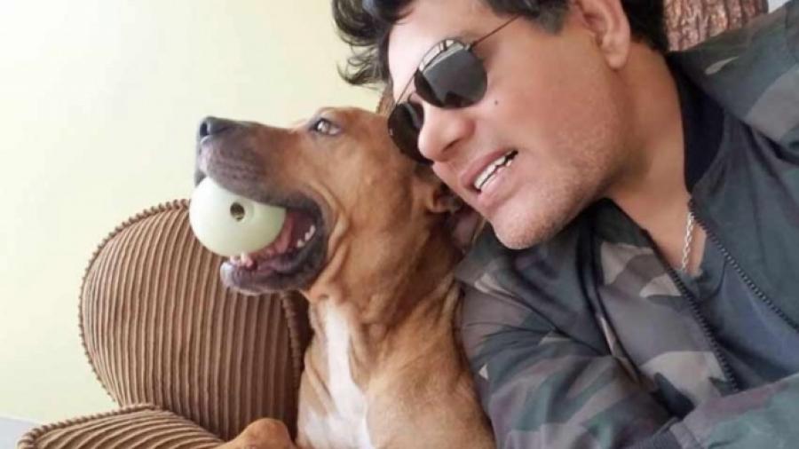Ofrecen recompensa de 300 mil pesos por asesinos de pitbulls