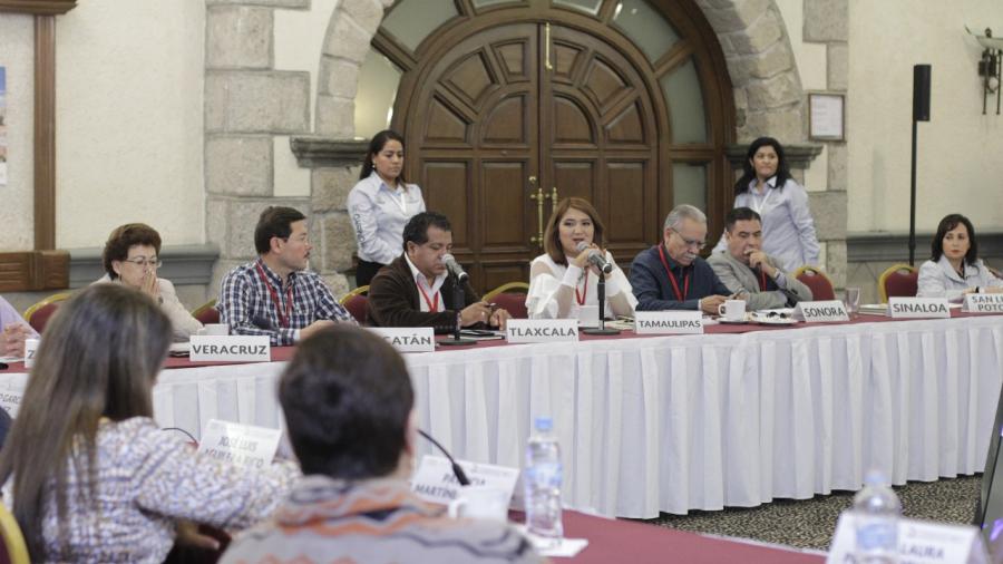 Participa Tamaulipas, en la 2da Sesión Ordinaria  CONASETRA