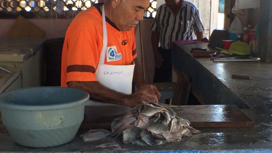 Buscan favorecer a pescadores del Sur Tamaulipas