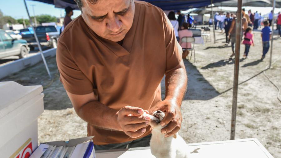 Inicia campaña de vacunación de mascotas 