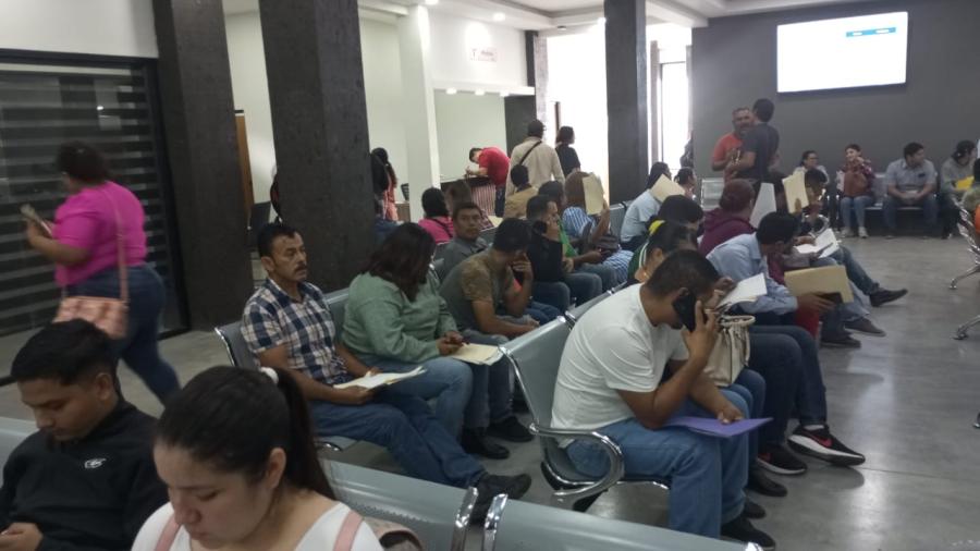 Tramites de renovación de placas en 2025 será mediante citas