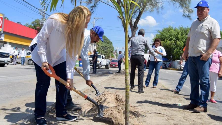Fomenta Gobierno de Altamira cuidado y preservación del medio ambiente