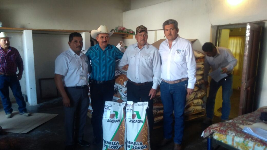 Entregan 40 ton. de Semilla de Sorgo en tres municipios de Tamaulipas