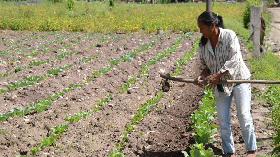 Reconocerán a mujeres rurales