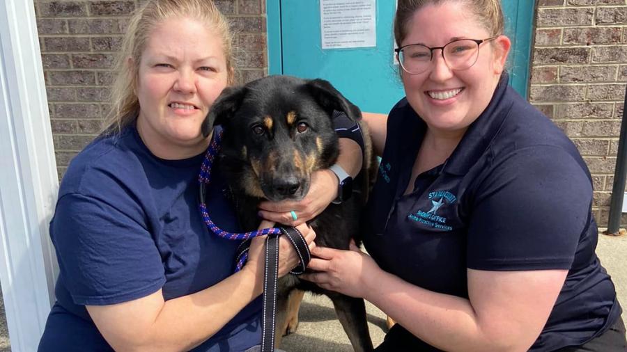 Perrito es abandonado porque creían que era gay