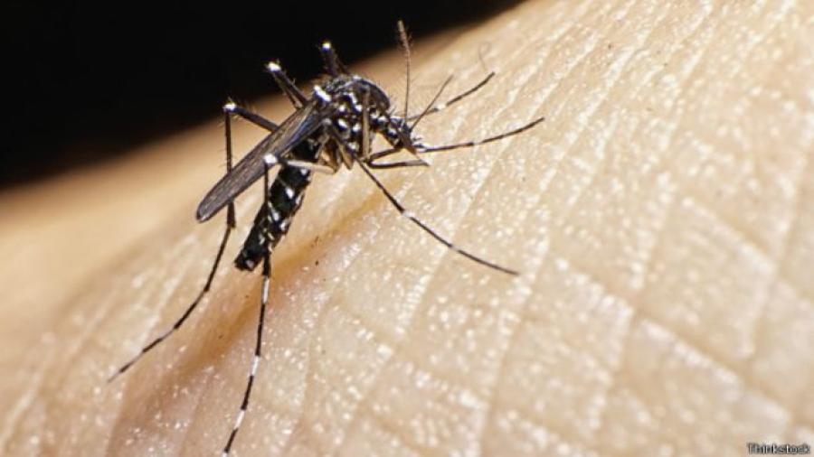 Se confirma primer caso de microcefalia por Zika en México