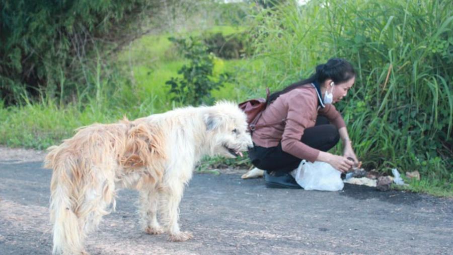 Perrito espera a sus dueños durante cuatro años