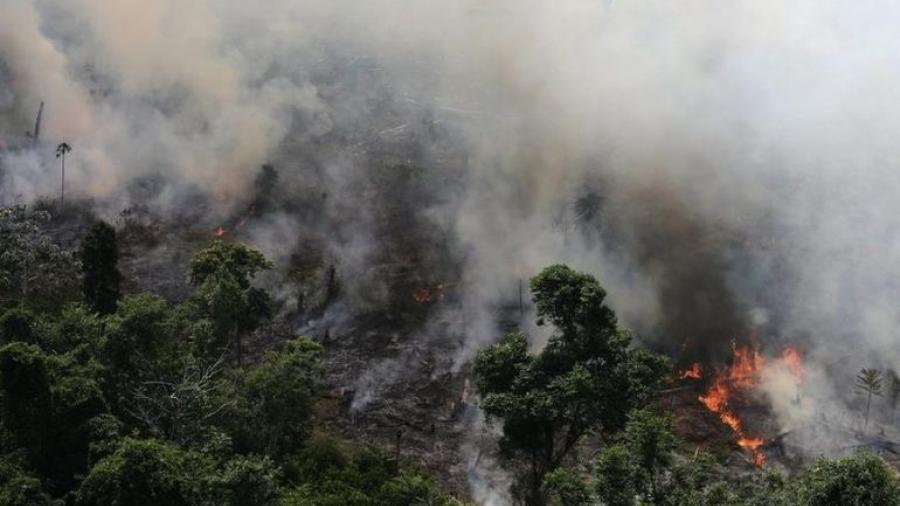 Chile ofrece su ayuda para combatir el incendio en el Amazonas