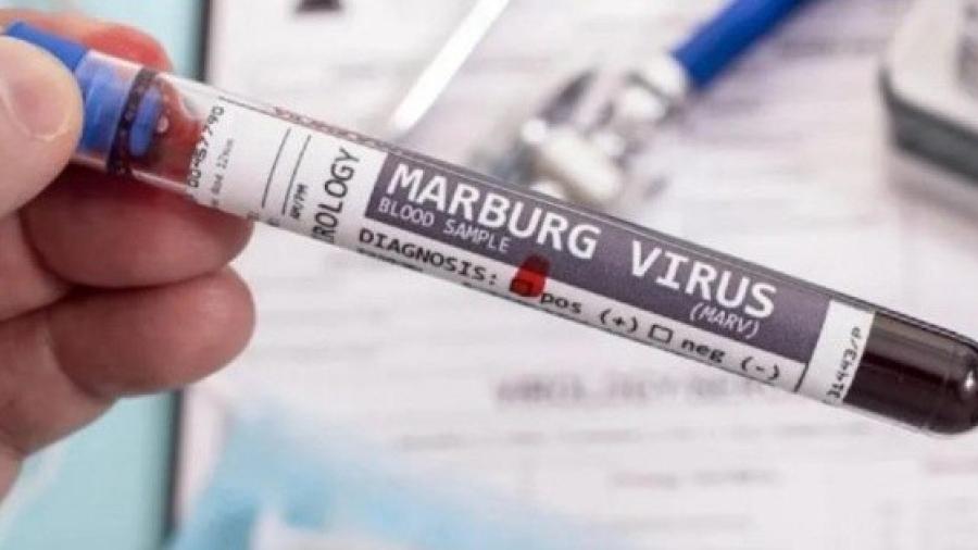 Guinea Ecuatorial confirma 8 casos más del virus de Marburgo
