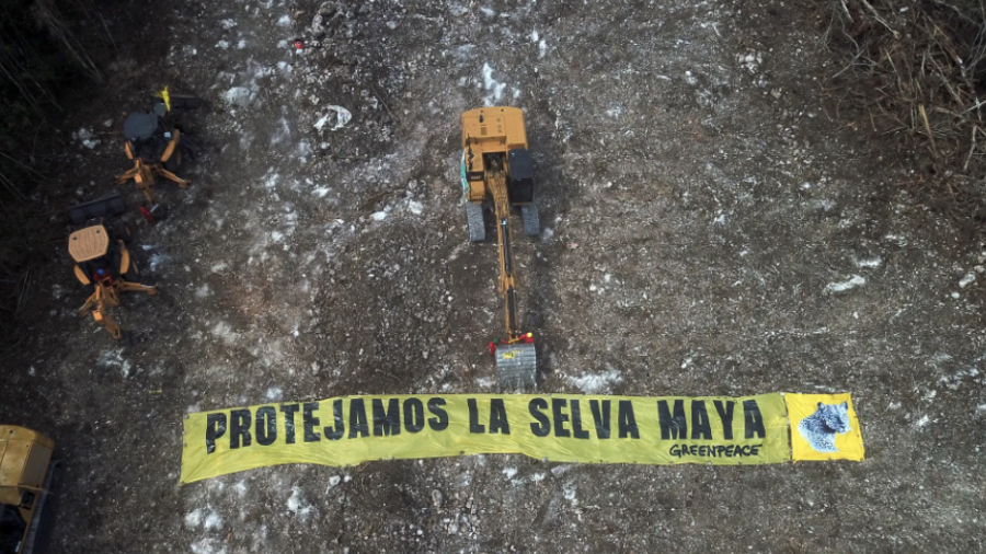 "Son pagados por intereses creados": Arremete nuevamente AMLO contra ambientalistas y famosos que criticaron el Tren Maya 