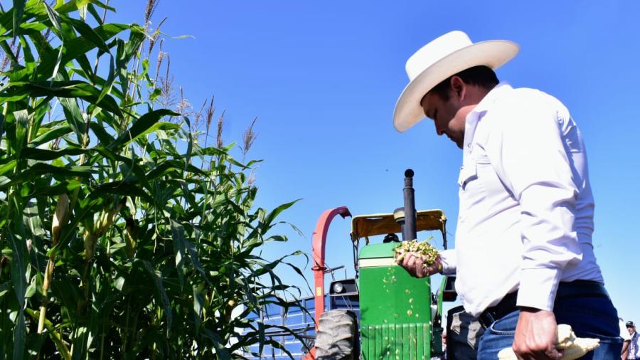 Desarrollo Rural apoyará proyectos que fomenten la cultura del ensilaje