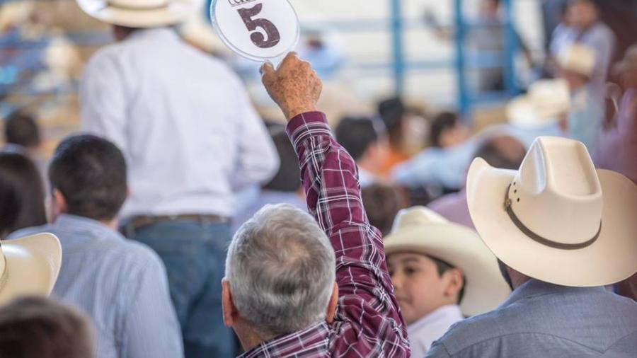 Ganaderos tamaulipecos apoyan programas sociales