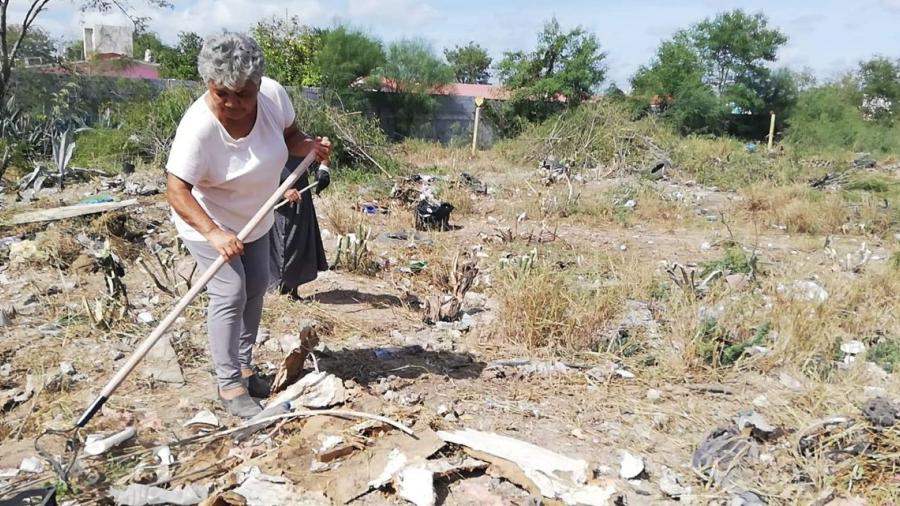 Obligarán a dueños de predios baldíos a limpiarlos