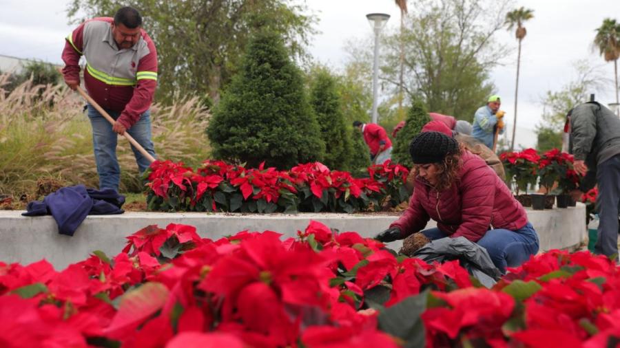 Llega la navidad a Nuevo Laredo; decora gobierno municipal espacios públicos