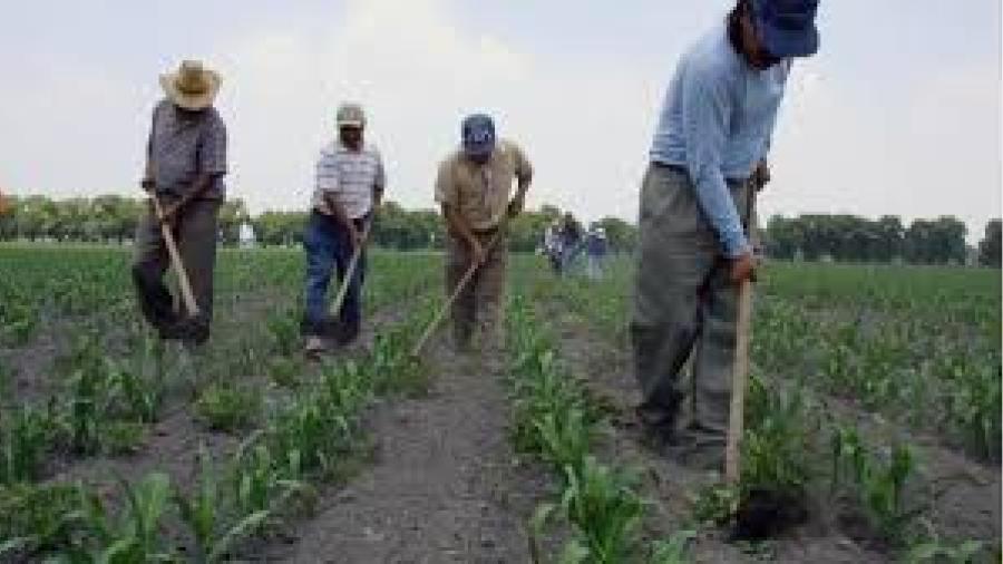 Campesinos asisten a asesoramiento para luchar por sus tierras 