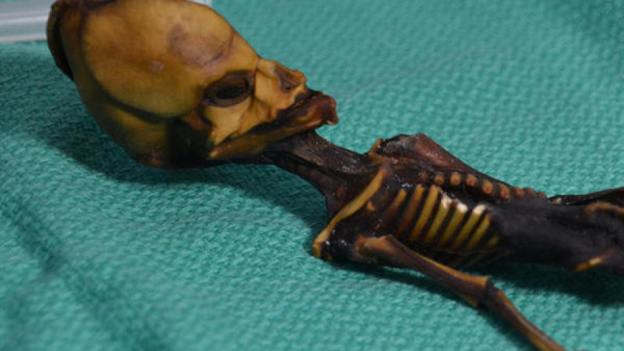 Resuelven misterio se supuesto esqueleto alien de Atacama