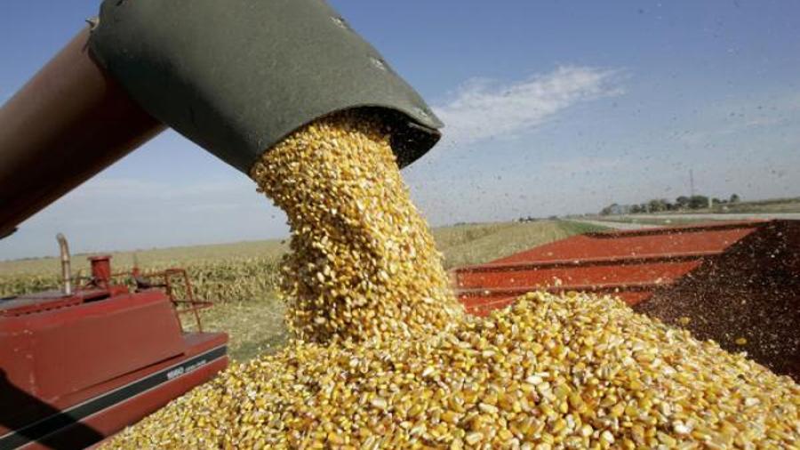 México estudia un arancel sobre el maíz y soja de EE UU.