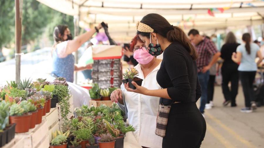 Convivan a emprendedores locales a participar en el Bazar Primavera 