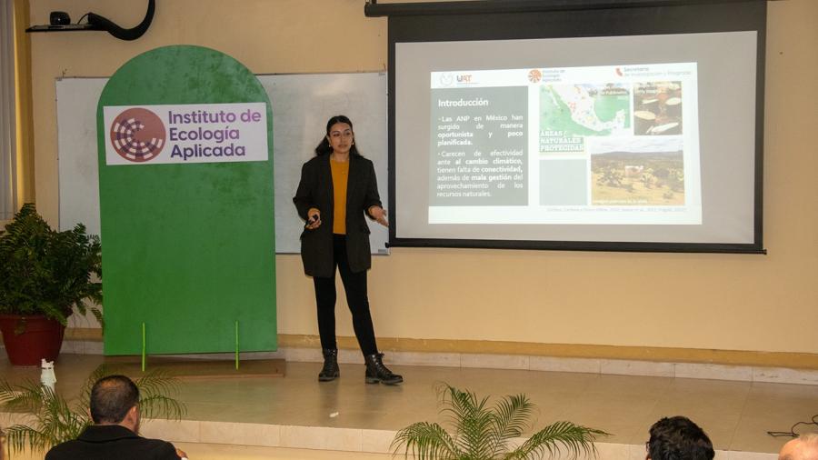 Realiza UAT estudios para proteger ruta migratoria de la mariposa monarca