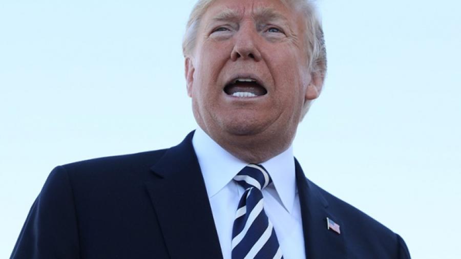 Caravanas, una desgracia: Trump