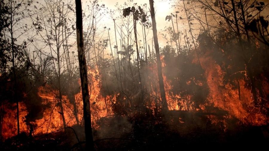 Un detenido y dos fugitivos, sospechosos de provocar el incendio del Amazonas
