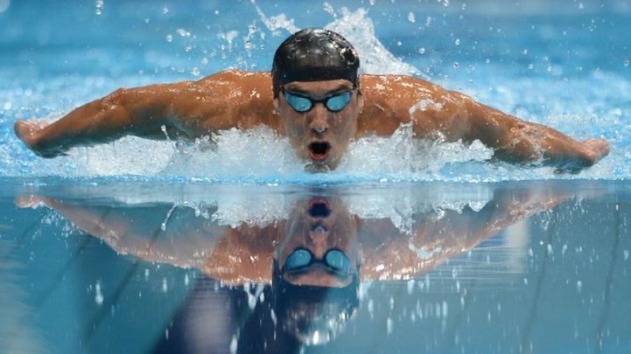 Competirá Phelps con un tiburón blanco