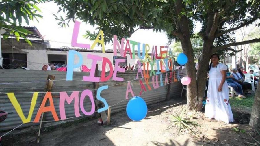 Mujer se casa con un árbol en Veracruz 