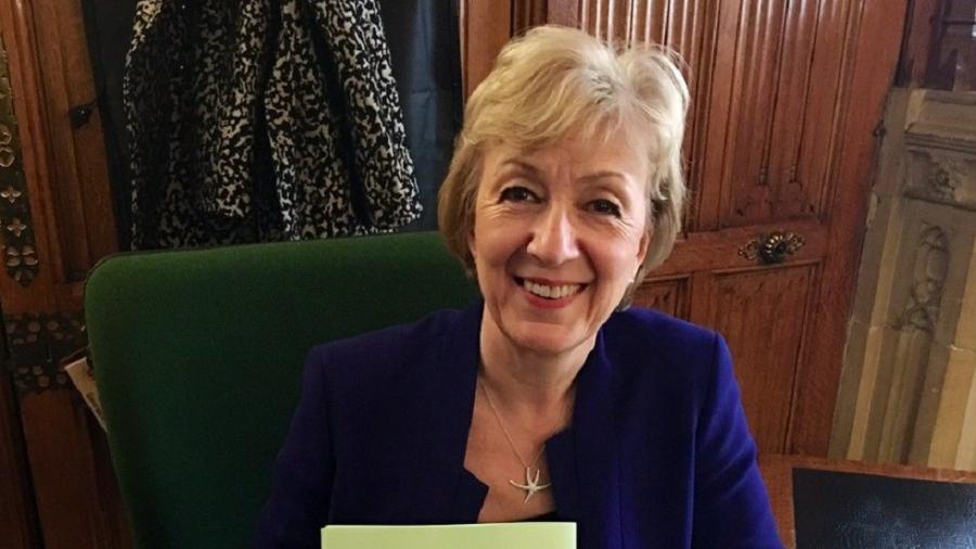 Ministra británica renuncia al Parlamento