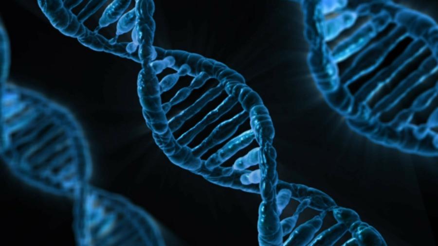 Científicos crean organismo viviente con ADN artificial y natural