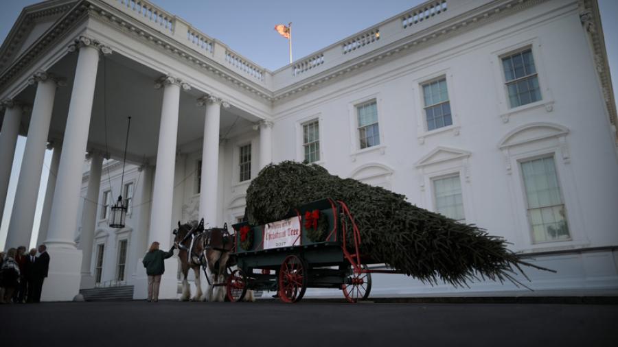 El primer árbol navideño de la familia Trump en la Casa Blanca