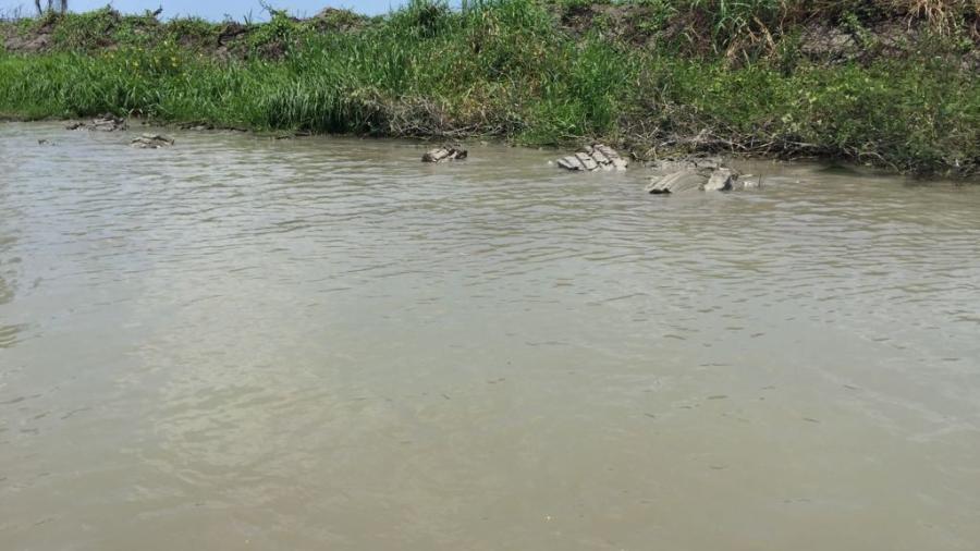 Necesario proyecto de dragado en laguna de Champayán