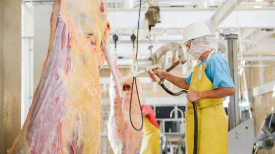 Aumentan sacrificios en Rastro Municipal de Nuevo Laredo