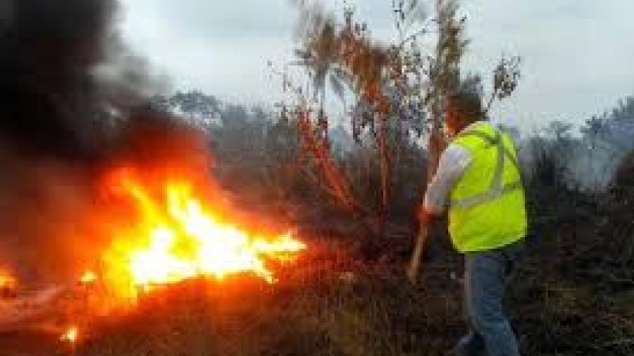 Ola de calor provoca 40 incendios 