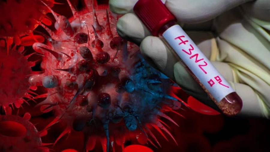 Confirman primer caso de influenza A H3N2 en M&eacute;xico