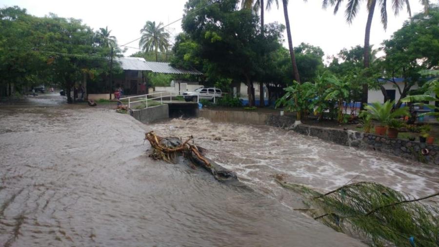 Lluvias dejan inundaciones y caída de árboles en Colima