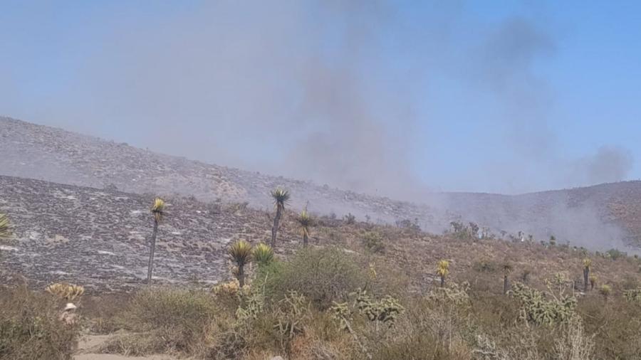 Incendio de pastizales en Tula fue provocado: PAUT