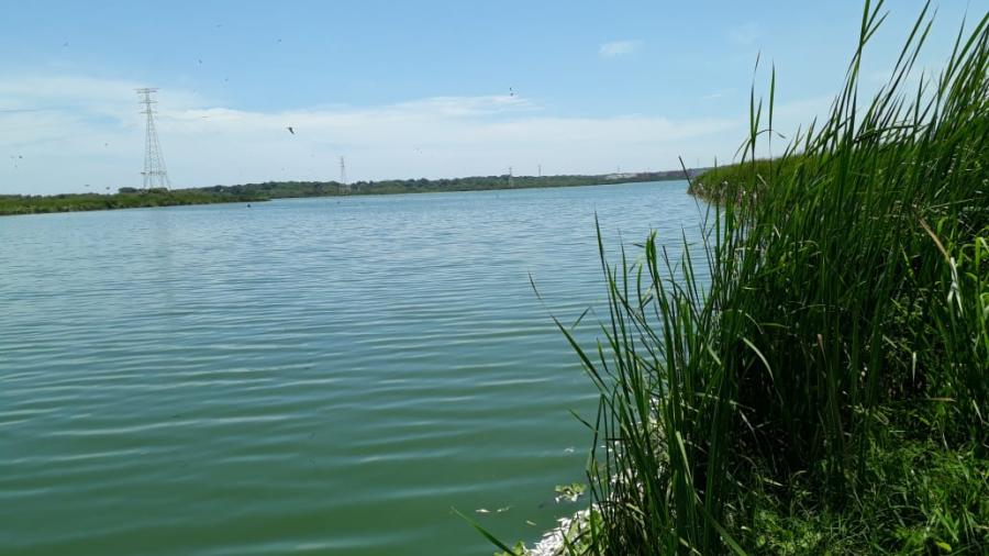 Se genera mortandad de peces en la Laguna “del conejo”