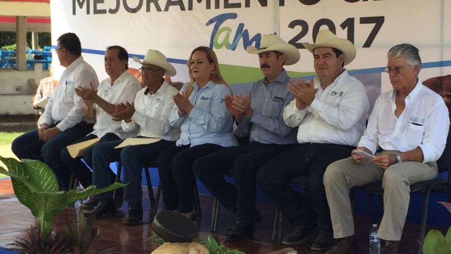 Llevan a cabo programa de mejoramiento genético en Altamira