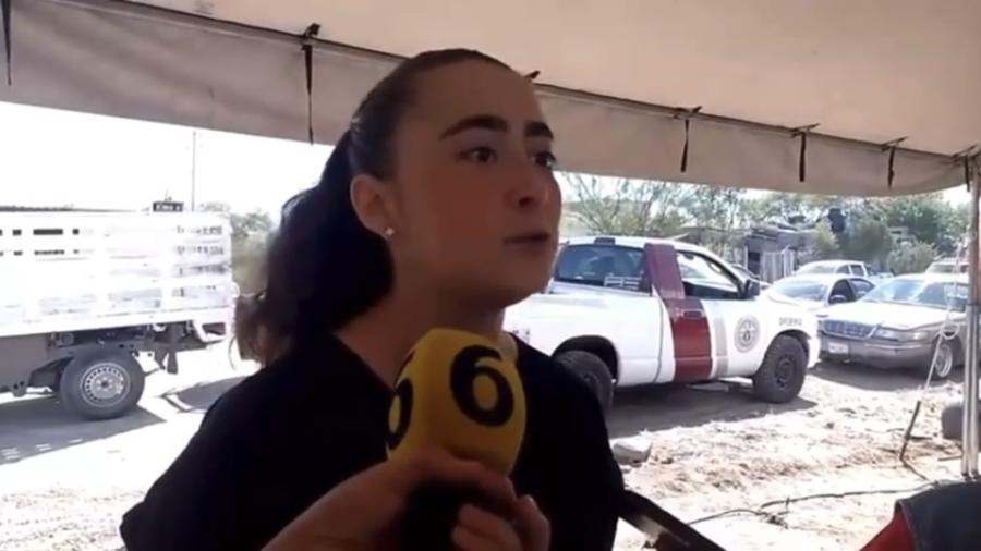 Desparasita Bienestar Animal a Más de 100 mascotas por semana