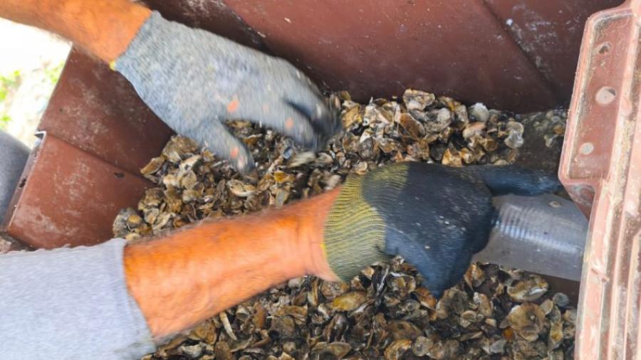 Refuerzan acciones de seguimiento y sanidad en unidades de producción acuícola en Soto la Marina