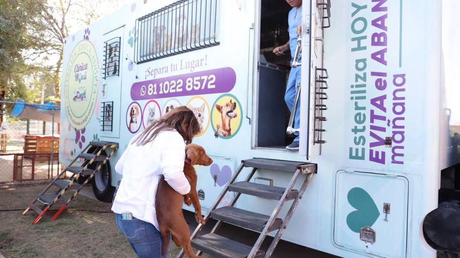 Inician campaña de esterilización gratuita de perros y gatos 