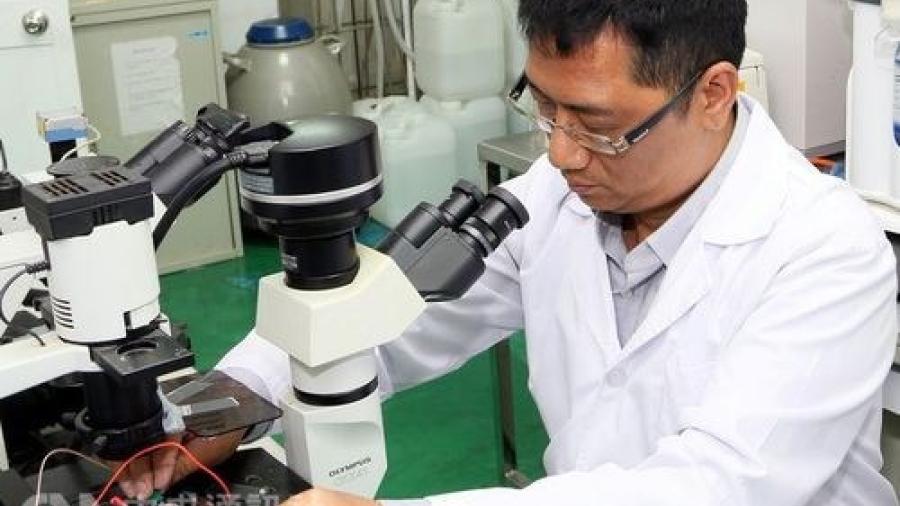 Crean chip que detecta cáncer en media hora 