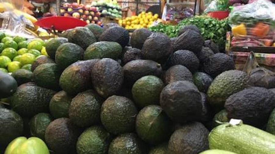 Baja venta de aguacate en el mercado