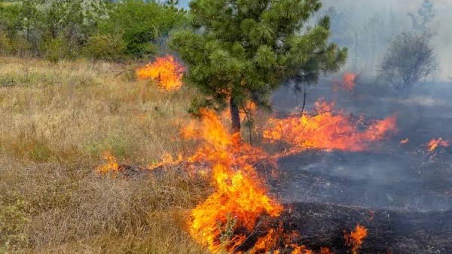 Altas temperaturas mantienen riesgo de incendios forestales en el Valle de Texas