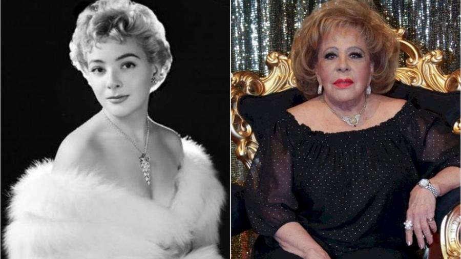 Realizarán homenaje a Silvia Pinal en Bella Artes