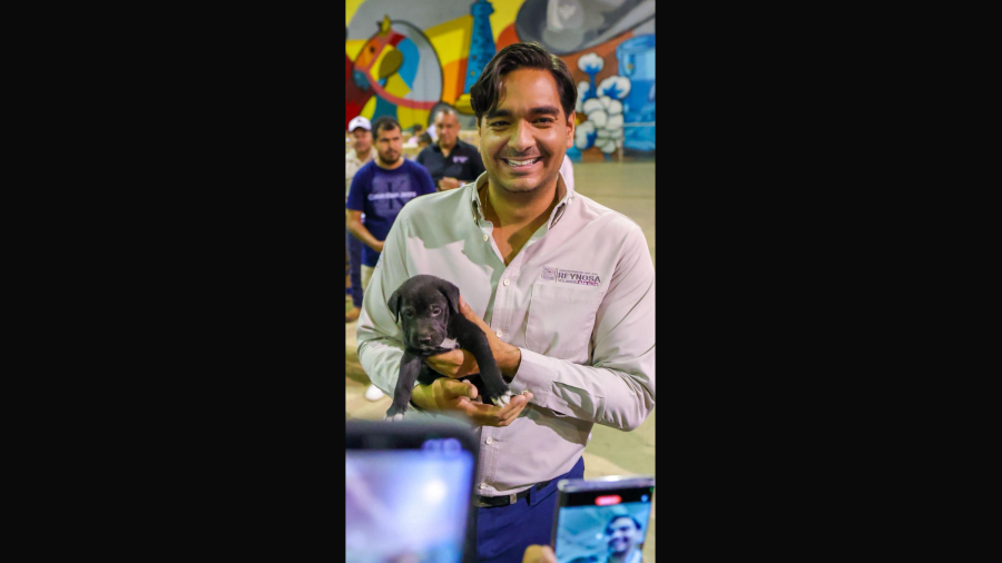 Busca Alcalde de Reynosa nombre para perrito abandonado