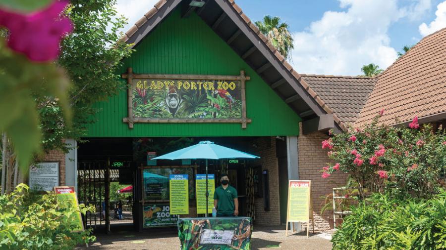 Reabre el zoológico Gladys Porter en Brownsville 