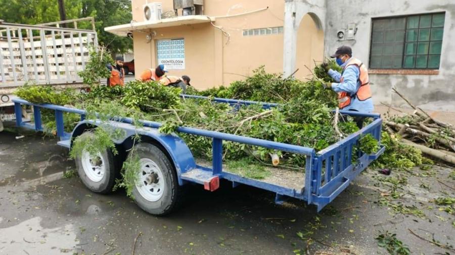 Atención inmediata del Ayuntamiento a la población debido a tormenta