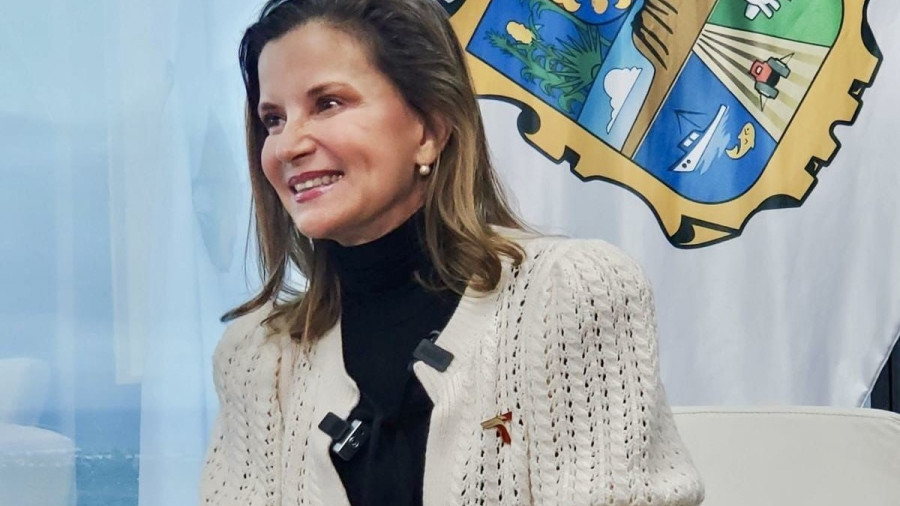 Decreto federal de incentivos impulsar&aacute; sectores prioritarios en Tamaulipas: Ninfa Cant&uacute;