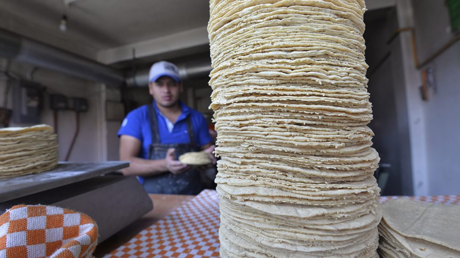 Buscan reducir a 10 pesos el kilo de tortilla